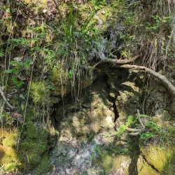 Devil's Millhopper Geological State Park - Gainesville