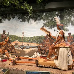 Florida Museum of Natural History - Gainesville