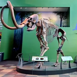 Florida Museum of Natural History - Gainesville