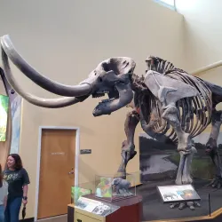 Florida Museum of Natural History - Gainesville