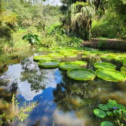 Kanapaha Botanical Gardens - Gainesville
