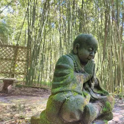 Kanapaha Botanical Gardens - Gainesville