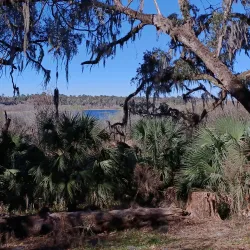 Kanapaha Botanical Gardens - Gainesville