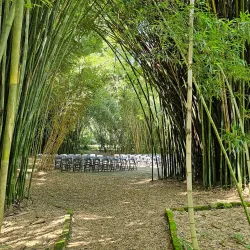 Kanapaha Botanical Gardens - Gainesville