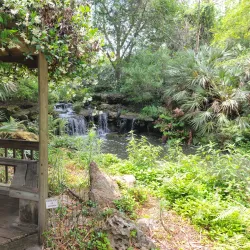 Kanapaha Botanical Gardens - Gainesville