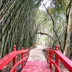 Kanapaha Botanical Gardens - Gainesville