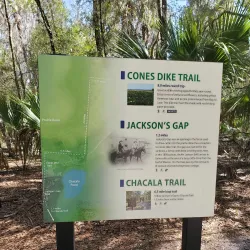 Paynes Prairie Preserve State Park - Gainesville