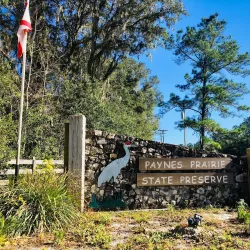 Paynes Prairie Preserve State Park - Gainesville