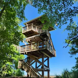 Paynes Prairie Preserve State Park - Gainesville