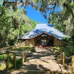 Paynes Prairie Preserve State Park - Gainesville