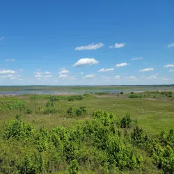 Paynes Prairie Preserve State Park - Gainesville