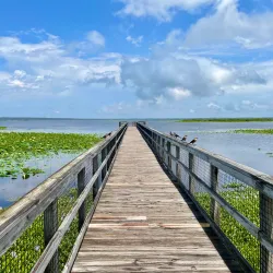 Paynes Prairie Preserve State Park - Gainesville