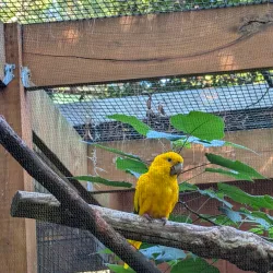 Santa Fe College Teaching Zoo - Gainesville