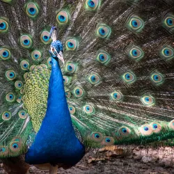 Santa Fe College Teaching Zoo - Gainesville