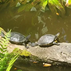 Santa Fe College Teaching Zoo - Gainesville