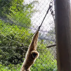 Santa Fe College Teaching Zoo - Gainesville