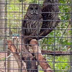Santa Fe College Teaching Zoo - Gainesville