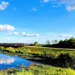 Sweetwater Wetlands Park - Gainesville