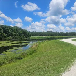 Sweetwater Wetlands Park - Gainesville