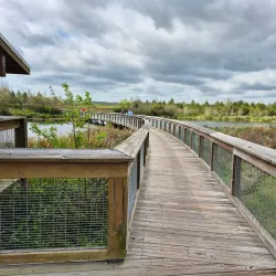 Sweetwater Wetlands Park - Gainesville