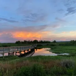 Sweetwater Wetlands Park - Gainesville