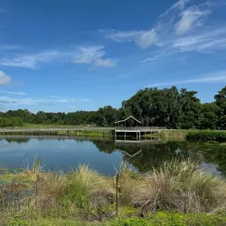 Sweetwater Wetlands Park - Gainesville