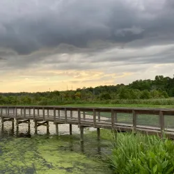 Sweetwater Wetlands Park - Gainesville
