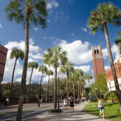 University of Florida Campus - Gainesville