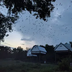 University of Florida Campus - Gainesville
