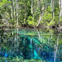 Chassahowitzka National Wildlife Refuge - Hernando