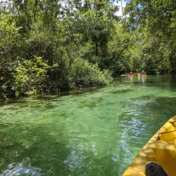 Chassahowitzka National Wildlife Refuge - Hernando