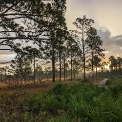 Chassahowitzka National Wildlife Refuge - Hernando