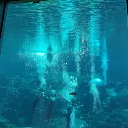 Chassahowitzka National Wildlife Refuge - Hernando