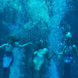 Chassahowitzka National Wildlife Refuge - Hernando