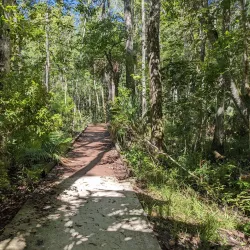 Chassahowitzka National Wildlife Refuge - Hernando