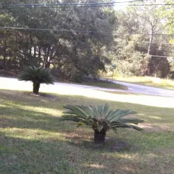 Citrus Springs Golf and Country Club - Hernando