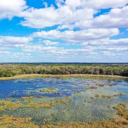 Fort Cooper State Park - Hernando