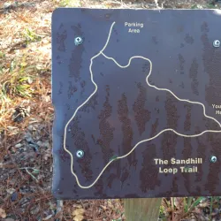 Fort Cooper State Park - Hernando