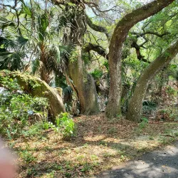 Fort Cooper State Park - Hernando