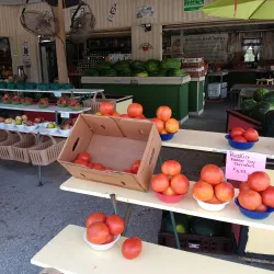 Hernando Farmers Market - Hernando