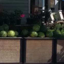 Hernando Farmers Market - Hernando