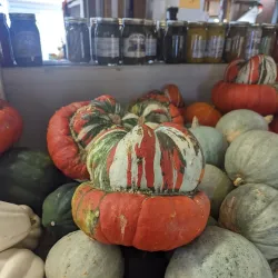 Hernando Farmers Market - Hernando