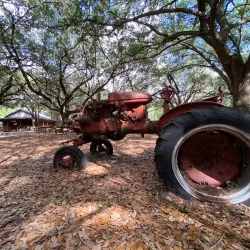 Amelia Earhart Park - Hialeah