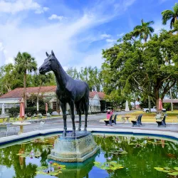 Hialeah Park Racing & Casino - Hialeah