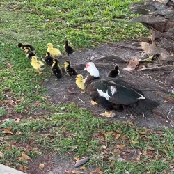 Lago Mar Park - Hialeah