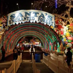 Tropical Park - Hialeah