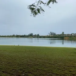 Tropical Park - Hialeah