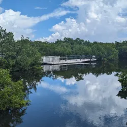 Anne Kolb Nature Center - Hollywood