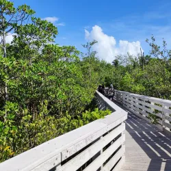 Anne Kolb Nature Center - Hollywood