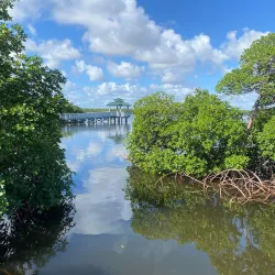 Anne Kolb Nature Center - Hollywood